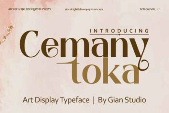 Cemany Toka | a sophisticated ligature and alternate Display