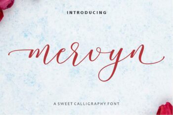 Mervyn